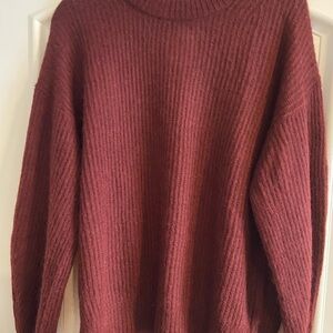 Everlane Rich Burgundy Turtleneck Sweater